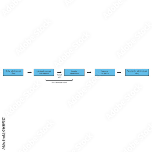 Diagram of drug first pass metabolism process - oral drug administration, intestinal mucosal metabolism, hepatic metabolism and systemic circulation vs. parenteral drug administration.