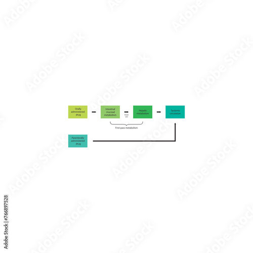 Diagram of drug first pass metabolism process - oral drug administration, intestinal mucosal metabolism, hepatic metabolism and systemic circulation vs. parenteral drug administration.