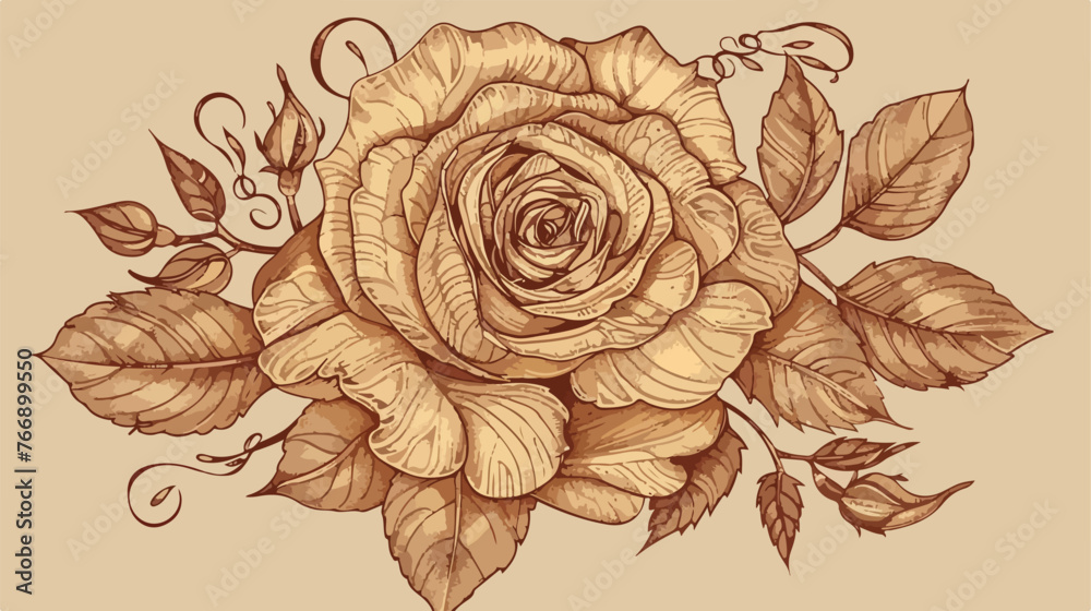 Rose vector lace by hand drawing.Beautiful flower on
