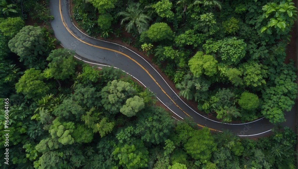 Bird's eye view of a winding road cutting through a lush forest during the rainy season Generative AI
