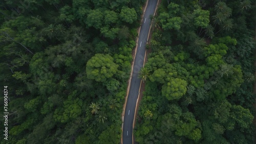 Bird's eye view of a winding road cutting through a lush forest during the rainy season Generative AI © Haroon