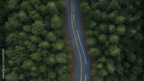 Top-down perspective on a serpentine road meandering through dense, rain-soaked woodland Generative AI