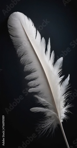An elegant white feather stands isolated against a dark backdrop, its delicate structure and texture highlighted by subtle lighting. AI generation