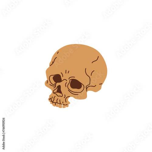 Human skull vector cartoon icon, scull braincase bones, Wicca pagan faith symbol, esoteric and occult item isolated