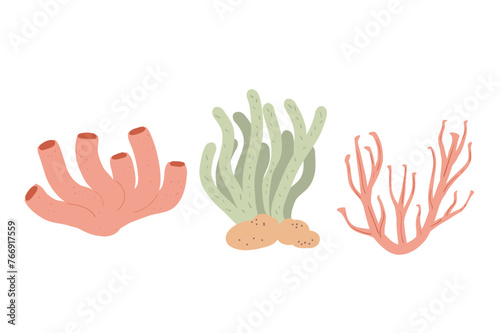 Coral reef set isolated on white background. Sea underwater elements. Vector flat illustration