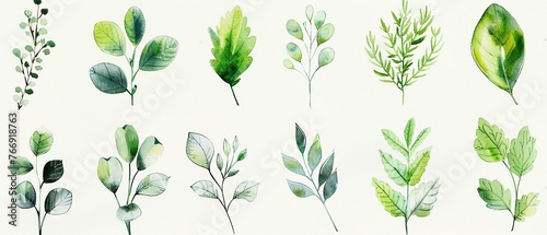 Exquisite Spring Greenery Watercolor Arrangement clipart  combining soft greens and vivid leaf designs  isolated on white to enhance any project with a touch of nature