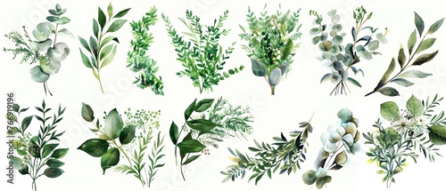 Wild Forest Greenery bouquets watercolor clipart, capturing the untamed essence of the woods with rich, emerald tones, carefully isolated to maintain edge detail for versatile use photo