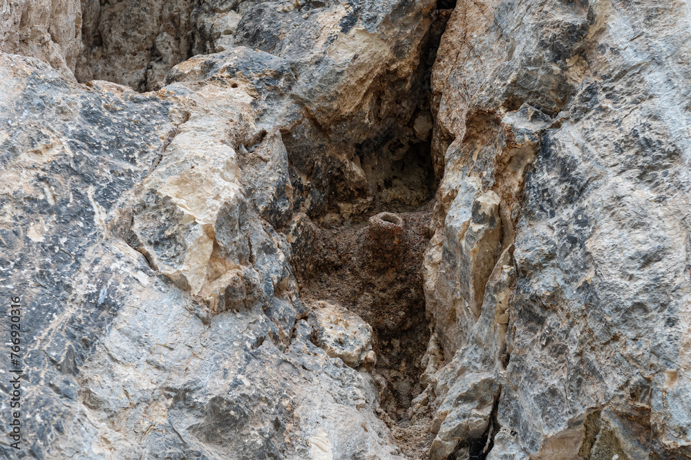 Bird's nest on the rocks. Western Rock Nuthatch nest. Bird's nest on the rocks. Western Rock Nuthatch nest.