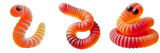 Sour gummy worms set isolated on Transparent background PNG, Assorted yummy Candy 