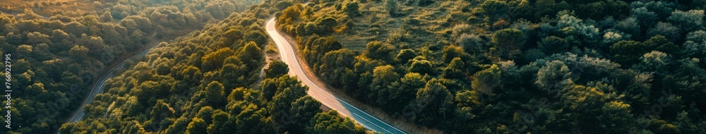 Aerial View of Road Cutting Through Forest