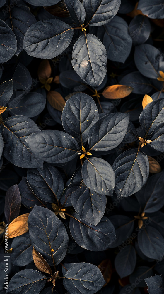 Black leaves with a few gold Black leaves with a few gold