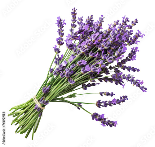 Fresh lavender bouquet with green stems  cut out - stock png.