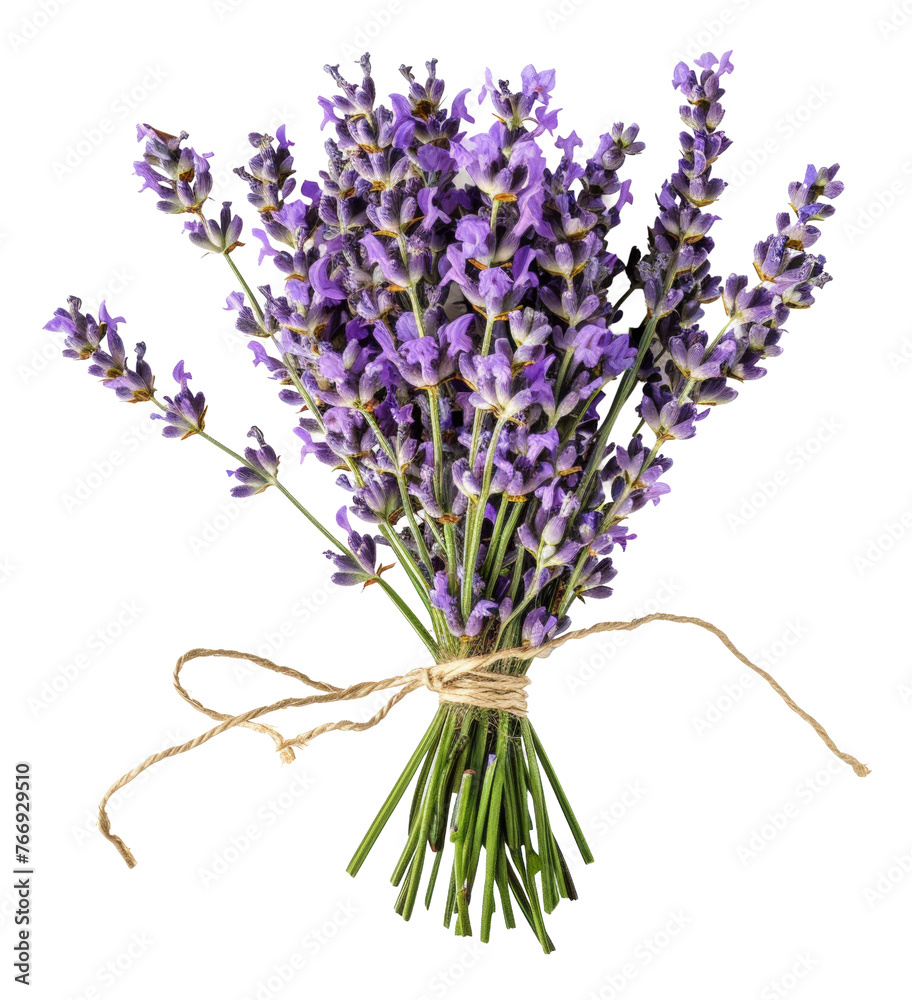 Naklejka premium Fresh lavender bouquet with green stems, cut out - stock png.