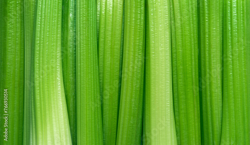 Celery sticks background top view texture
