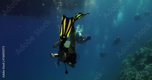 a white and orange fish escorting divers out of the water photo