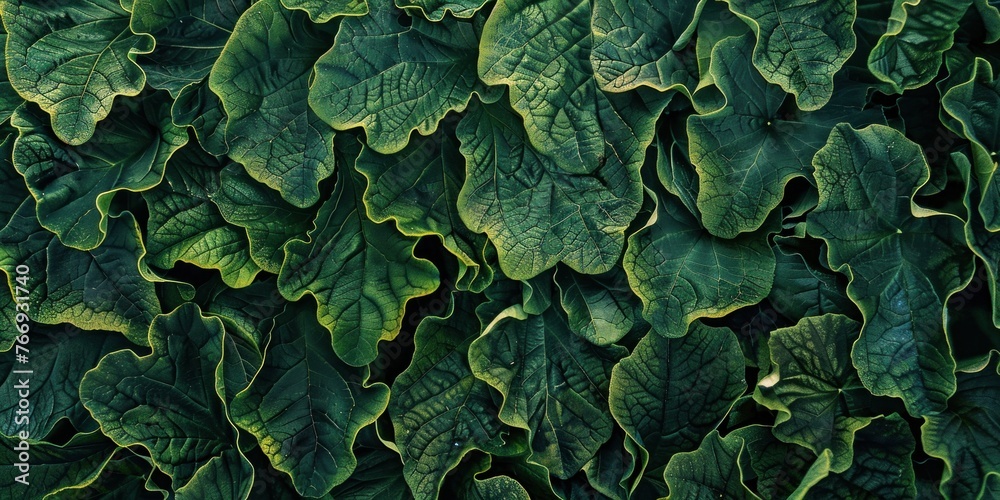 Lush Organic Leaf Texture