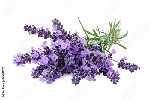 Lavender flowers isolated on white background with clipping path. Full Depth of field. Focus stacking. PNG. Generative AI 