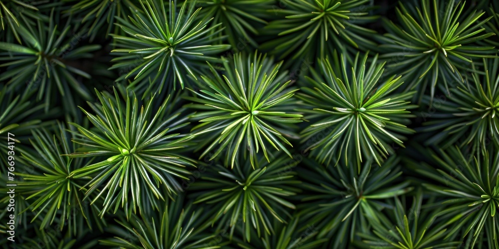 Green Leafy Texture Close-Up