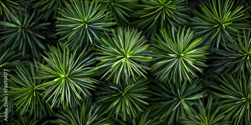 Green Leafy Texture Close-Up