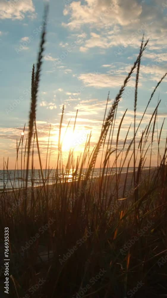Sunset on a summer day at the sea. Vacation concept. Scenery. Vertical Video