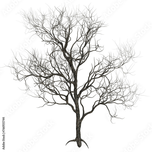 3D rendered Tree without leaves isolated on Transparent Background - 3D illustration