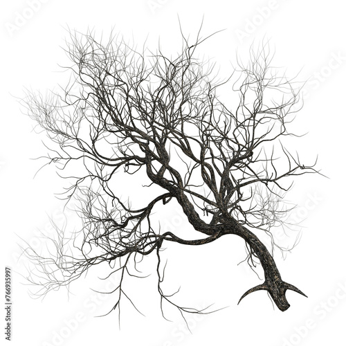 3D rendered Tree without leaves isolated on Transparent Background - 3D illustration