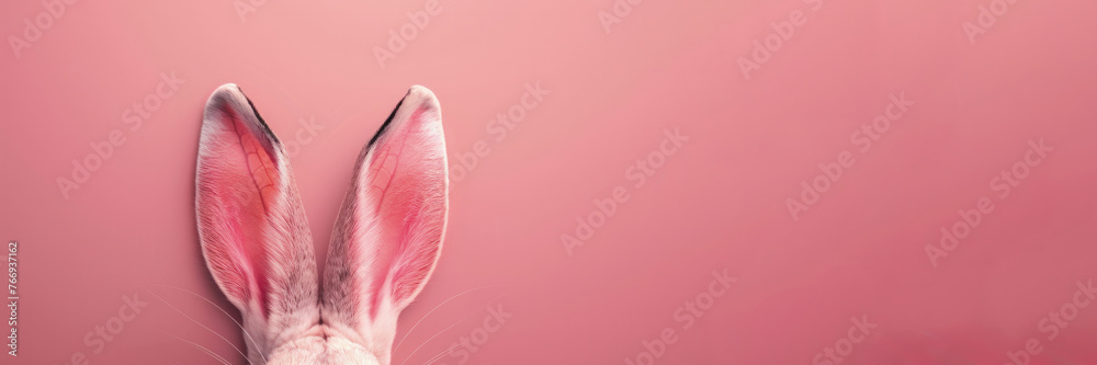 A pink background with a rabbit's ears on it. The ears are pink and have a lot of detail. rabbit ears stick out from below on a pink background with an empty space for text