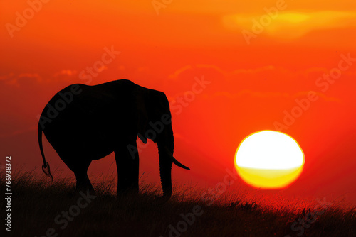 A portrait of an elephant against the backdrop of a breathtaking African sunset