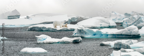 Eisbären auf Eisscholle Nordpolarmeer