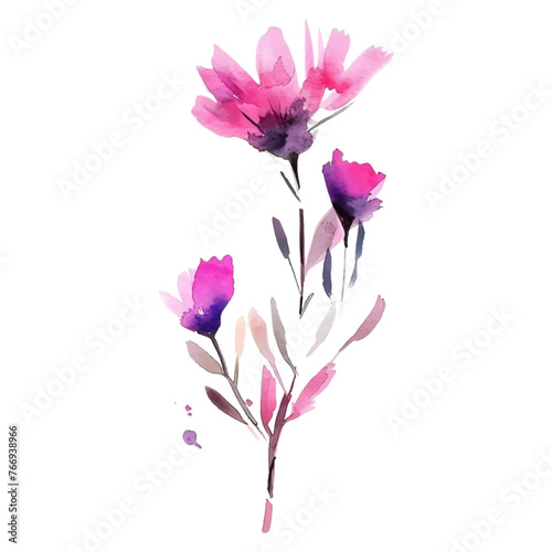 watercolor wild flower on awhite background