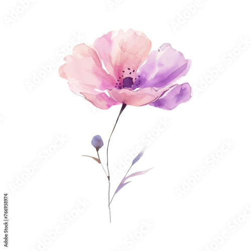 watercolor wild flower on awhite background