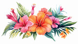 Paradise Flower Watercolor Flat vector 