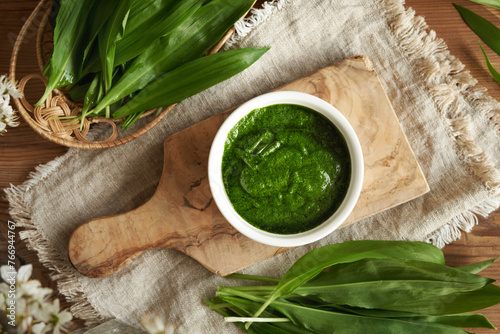 Homemade green pesto sauce made of fresh bear's garlic or ramson leaves - wild edible plant harvested in spring photo
