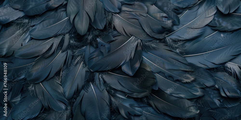 Obraz premium Close-up Detail of Dark Bird Feathers