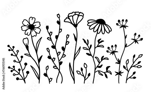 Wildflowers flowers isolated and floral pattern