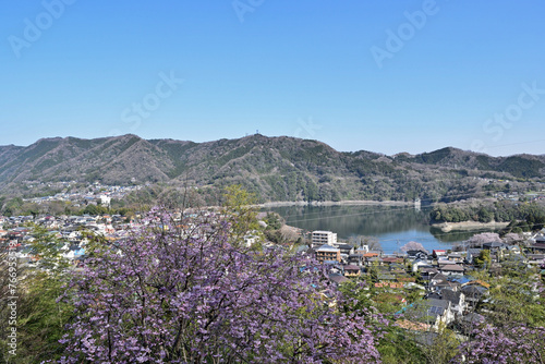 【神奈川県】春の津久井湖城山公園 湖畔
