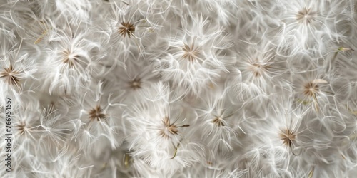Fluffy Seeds with Organic Texture