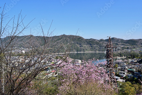 【神奈川県】春の津久井湖城山公園 湖畔