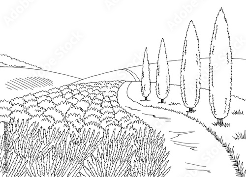 Lavender road graphic black white landscape sketch illustration vector
