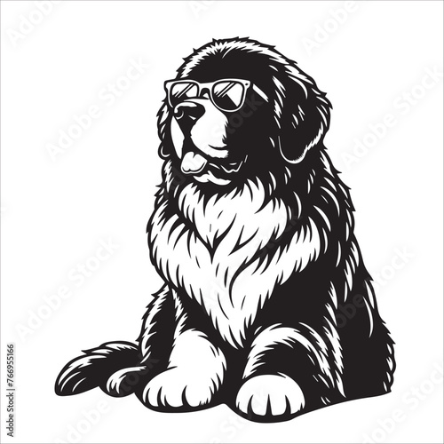 Newfoundland dog sitting wearing sunglasses Vector illustration in black and white 

