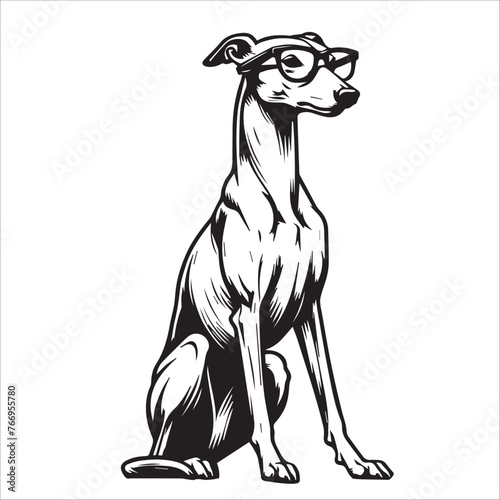 Whippet dog sitting wearing sunglasses Vector illustration in black and white 

