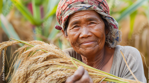 Elderly lady holding wheat in a field.