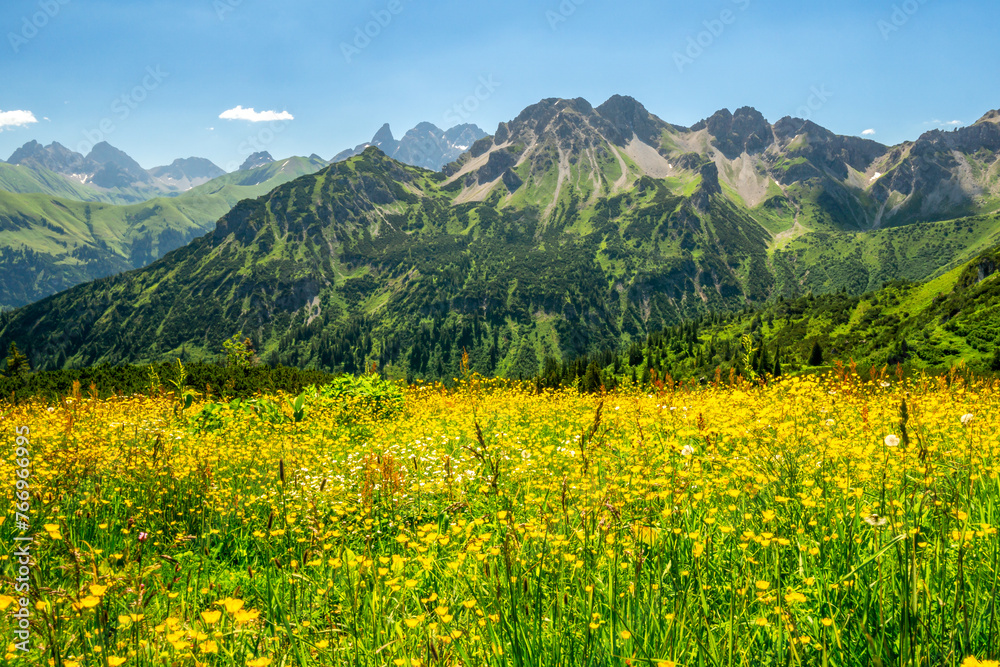 Berge mit gelber Blumenwiese im Vordergrund
