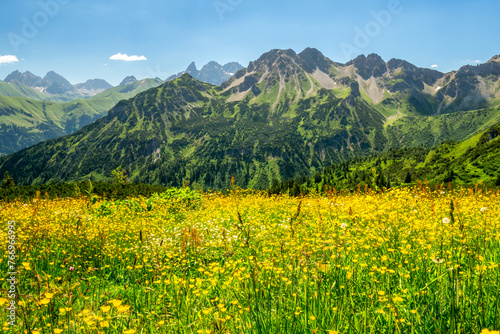 Berge mit gelber Blumenwiese im Vordergrund