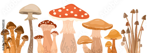 Autumn mushrooms border decoration. Fall fungi, horizontal decor. Forest food plants, fungus, boletus, banner design. Modern botanical decorative flat vector illustration isolated on white background