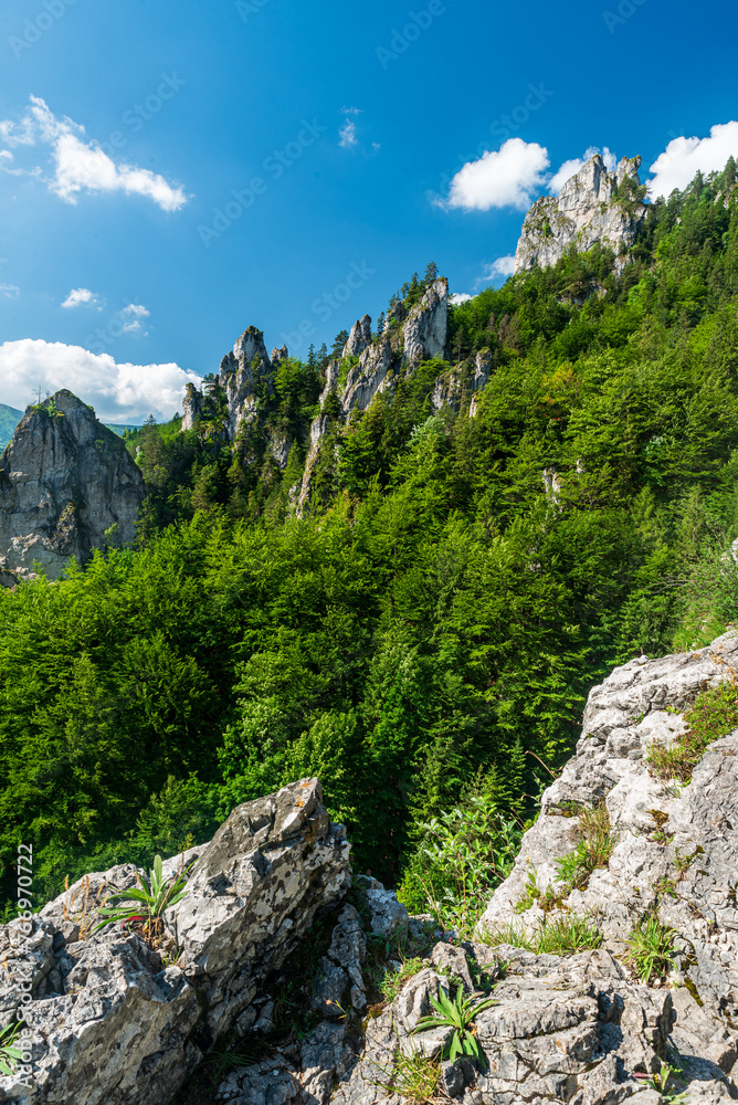 Beautiful scenery of forest with limestone rock formatios from Zbojnicky chodnik hiking trail in Mala Fatra mountains in Slovakia - obrazy, fototapety, plakaty 