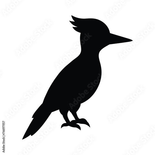 silhouette of a woodpecker  bird