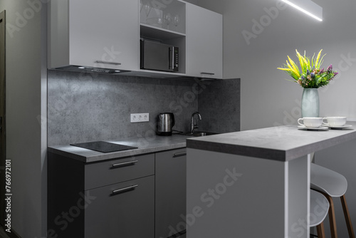 a small modern bright kitchen with grey furniture and household appliances