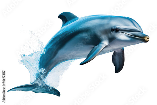 Dolphin Leaping Out of Water. On a Clear PNG or White Background.
