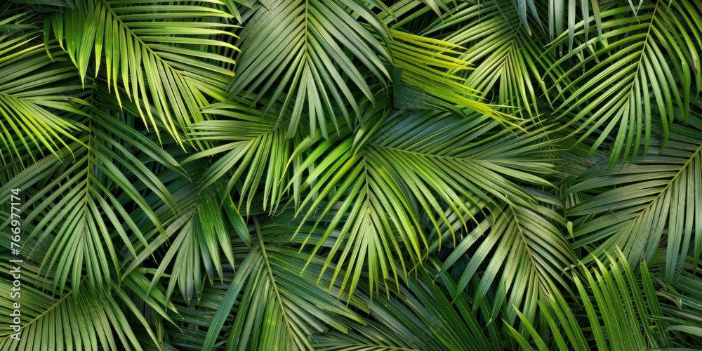 Green Palm Leaves Organic Texture